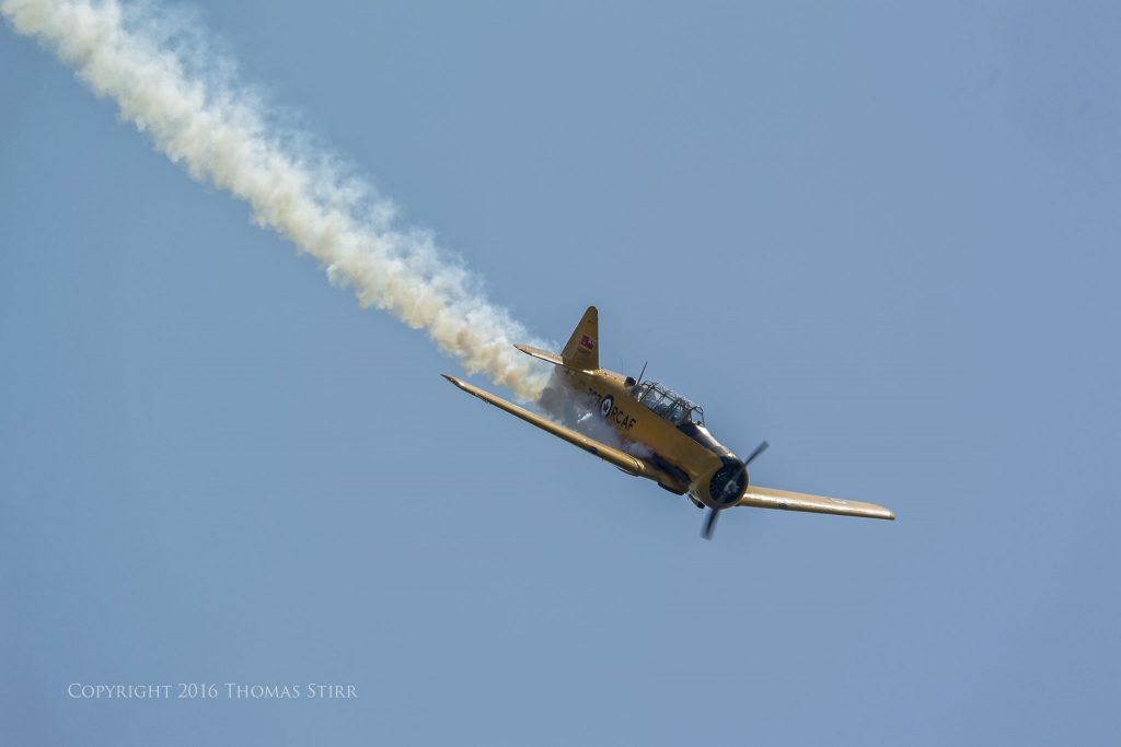 Nikon 1 V2 + 1 Nikon CX 70-300mm f/4.5-5.6 @ 300mm, efov 810mm, f/8, 1/1250, ISO-160