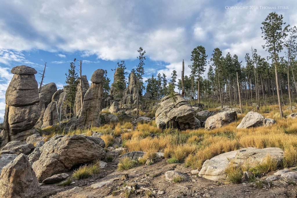 Nikon 1 J5 + 1 Nikon 10-100mm f/4-5.6 @ 10mm, efov 27mm, f/6.3, 1/100 sec, ISO-160. The Needles Highway, South Dakota.
