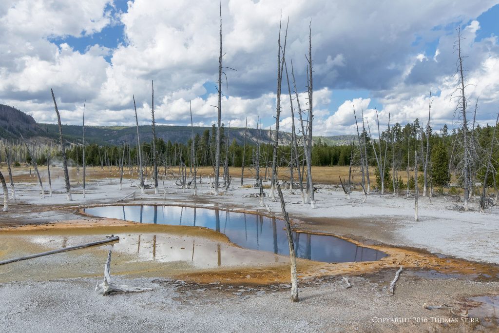 Nikon 1 J5 + 1 Nikon 10-100mm f/4-5.6 @ 13mm, efov 34mm, f/8, 1/320 sec, ISO-160. Yellowstone National Park, Wyoming.