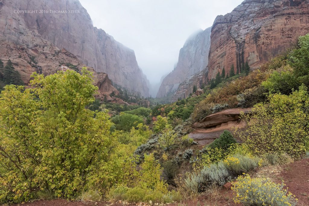 Nikon 1 J5 + 1 Nikon 6.7-13mm f/3.5-5.6 @ 6.7mm, efov 18m, f/5.6, 1/250 sec, ISO-400. Zion National Park, Utah.