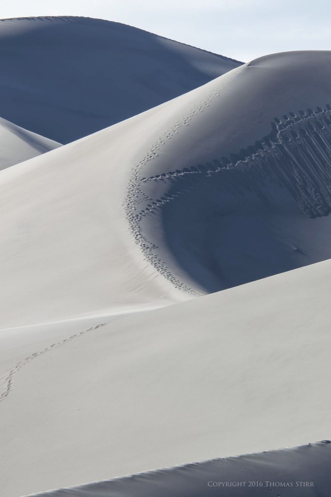 Nikon 1 J5 + 1 Nikon 70-300mm f/4.5-5.6 @ 258mm, efov 695mm, f/9, 1/200 sec, ISO-160. Great Sand Dunes National Park, Colorado.