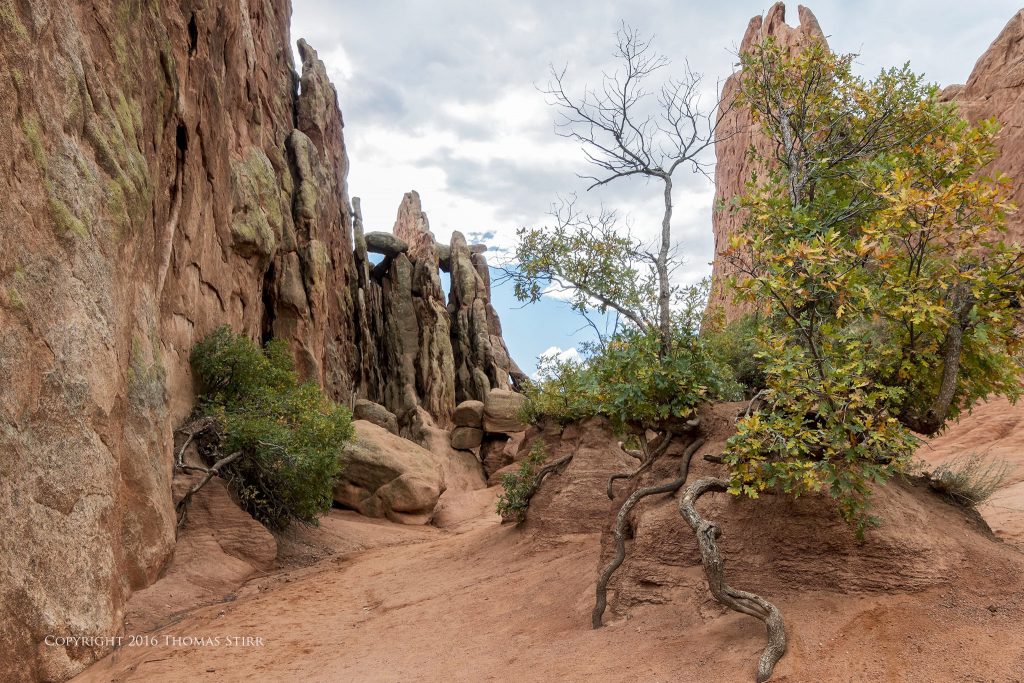 Nikon 1 J5 + 1 Nikon 10-100mm f/4-5.6 @ 10mm, efov 27mm, f/7.1, 1/100 sec, ISO-160. Garden of the Gods, Colorado Springs, Colorado.