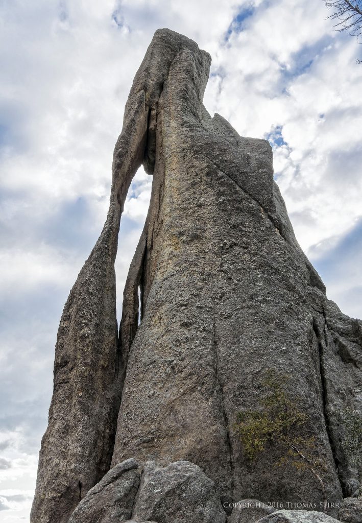 Nikon 1 J5 + 1 Nikon 10-100mm f/4-5.6 @ 10mm, efov 27mm, f/8, 1/500 sec, ISO-160. The Needles Highway, South Dakota.