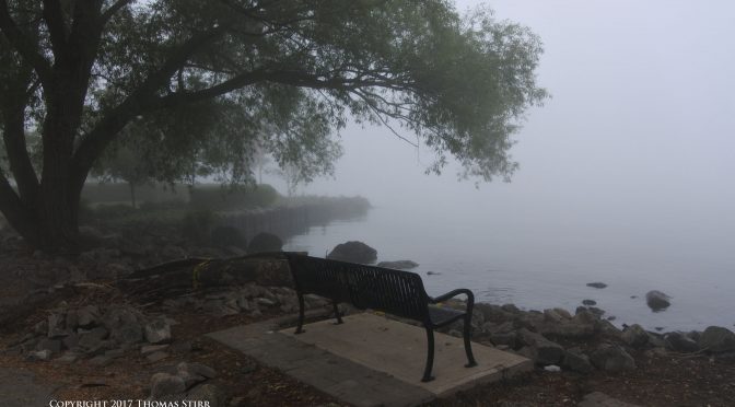 Working with fog images in post