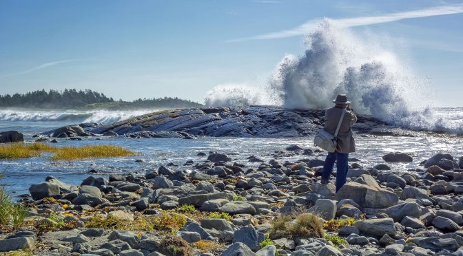 Nikon 1 V3 Nova Scotia Images