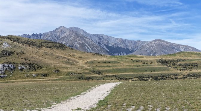 Hits and Misses at Cave Stream Scenic Reserve