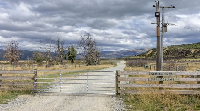 What Makes Us Better Photographers?