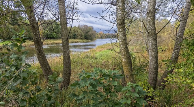 Wandering in Wellington County