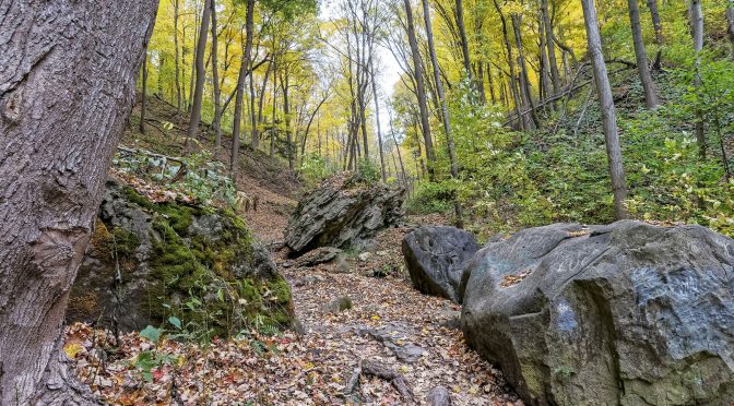 Niagara Gorge Forest Walk