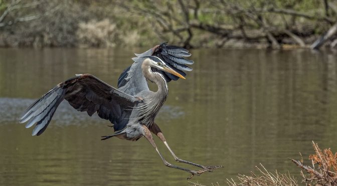 Landing Postures That Create Anticipation