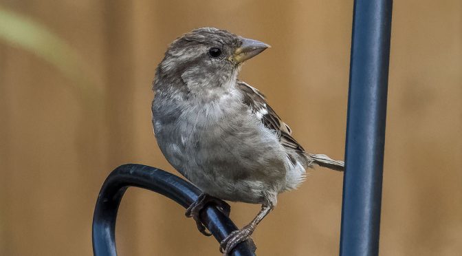 F/13 High ISO Test