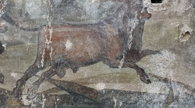 Pompeii Patterns and Details