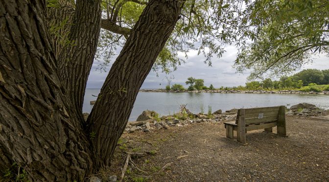 Landscapes Using f/2.8