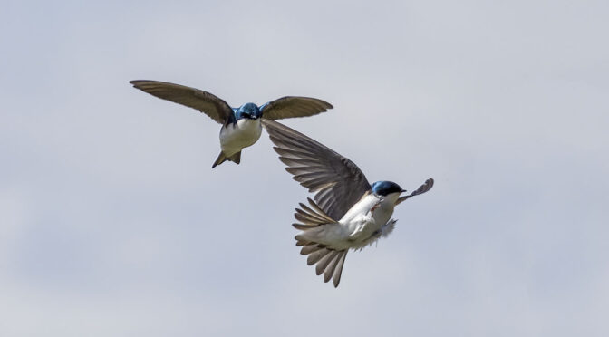 Pairs in Flight