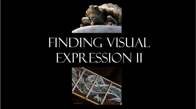 Finding Visual Expression II eBook