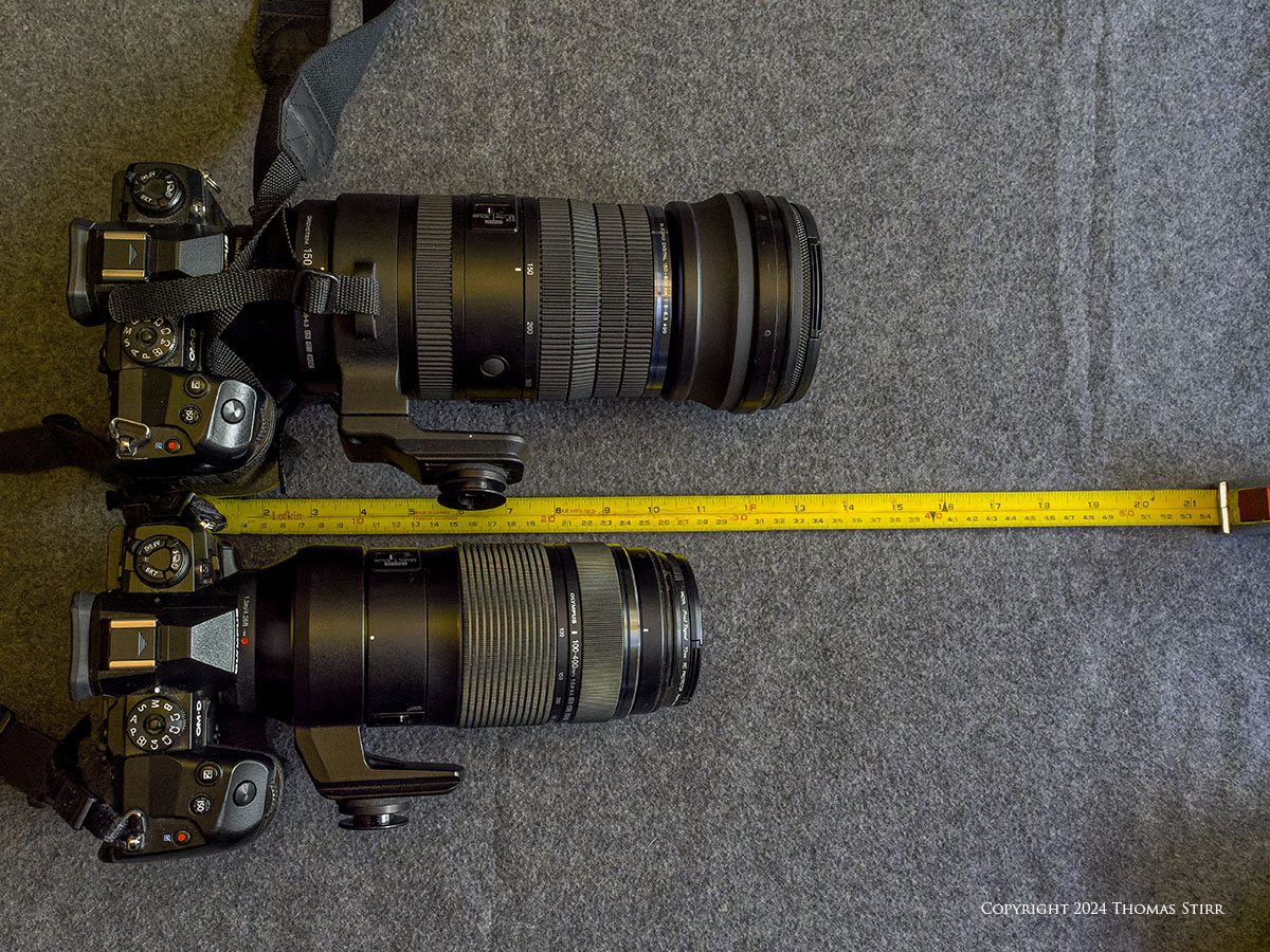 M.Zuiko 150-600 vs 100-400 Comparison - Photographic Freedom by