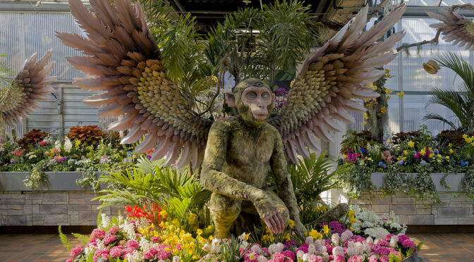Bloomland in OZ